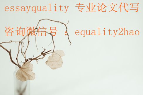 澳洲assignment代写、exam代考，澳洲online exam/quiz代考、网课代考、essay代写，政治