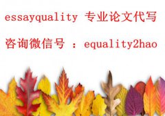 新加坡调查报告代写_留学生Research 代考、exam代考、paper代写